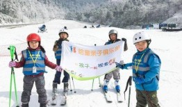 爆料滑雪视频大全最新,揭秘最新爆料视频大全精彩瞬间